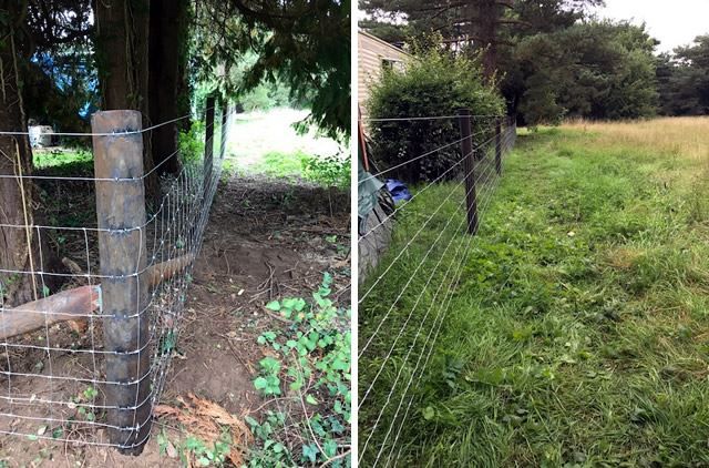 Stock-fencing in Frilford, Abingdon